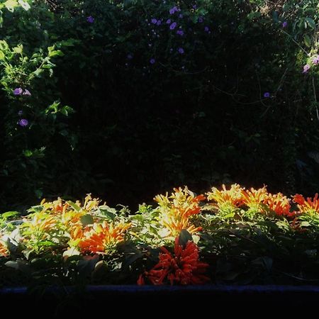Dalat Inn Homestay Kültér fotó