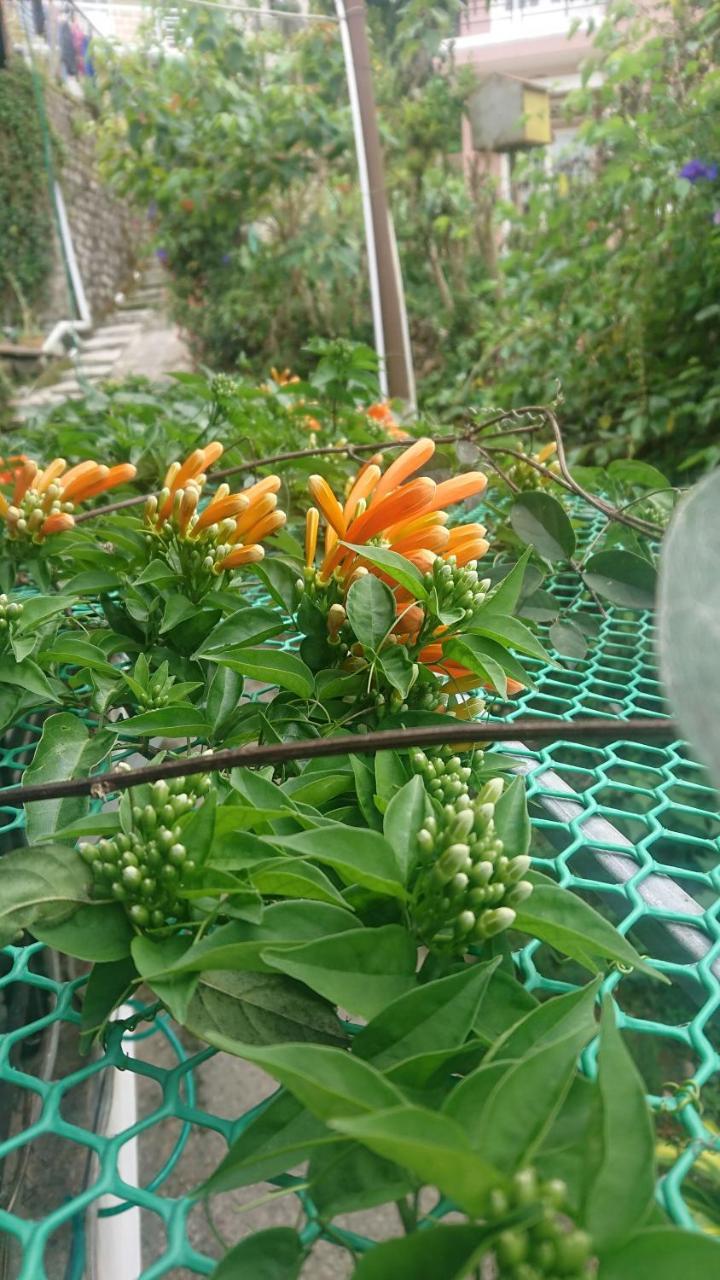 Dalat Inn Homestay Kültér fotó