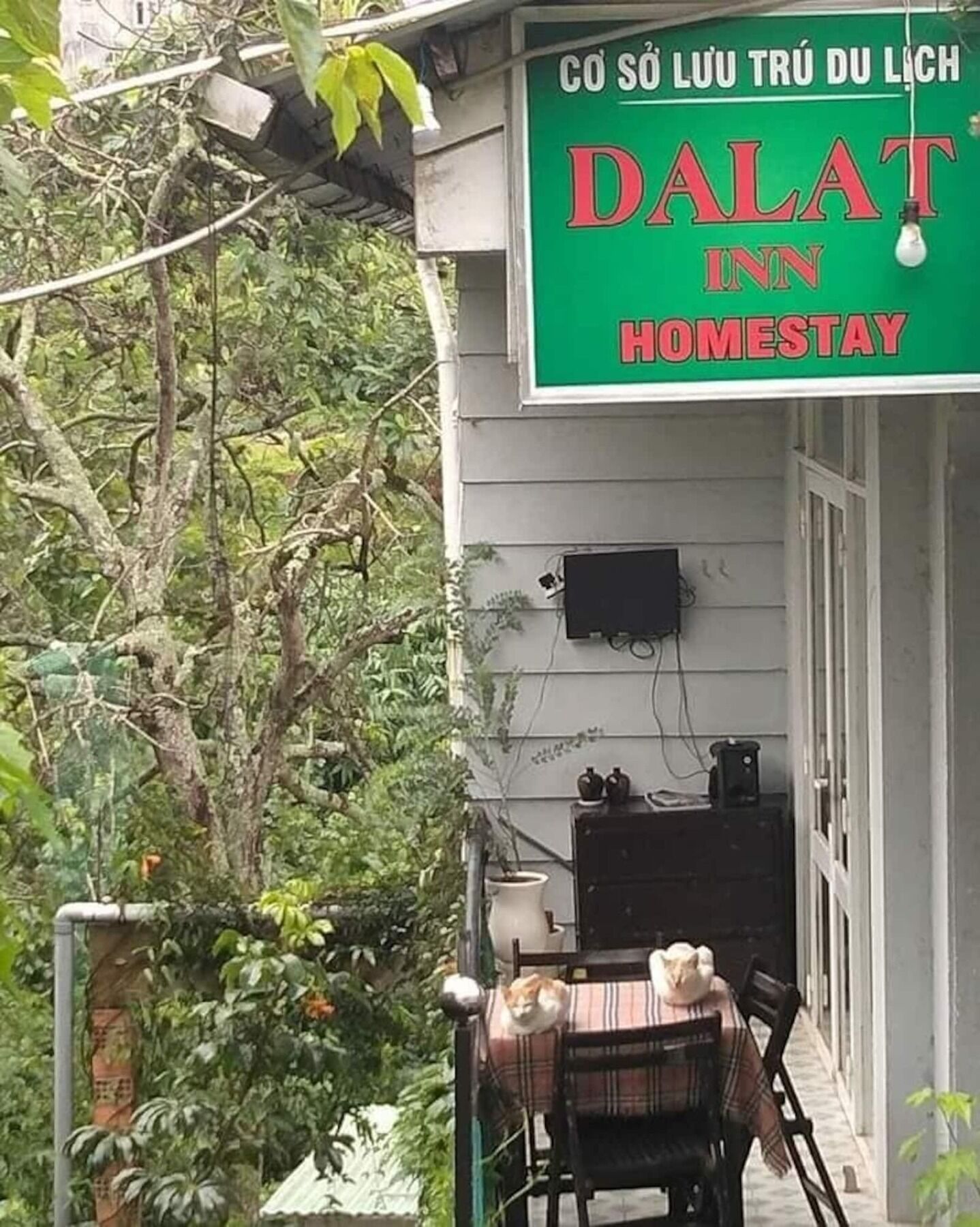 Dalat Inn Homestay Kültér fotó